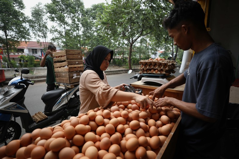 Harga Telur Naik (CNBC Indonesia/Tri Susilo)