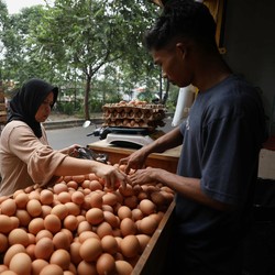 India Jadi Raja Tepung Telur Dunia, RI Makin Tertinggal