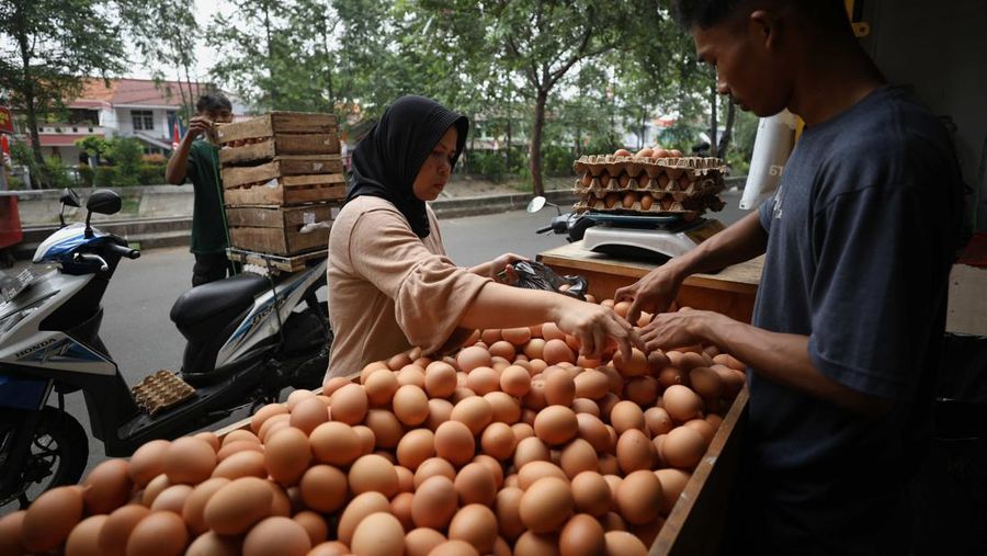 Harga Telur Naik (CNBC Indonesia/Tri Susilo)