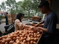India Jadi Raja Tepung Telur Dunia, RI Makin Tertinggal