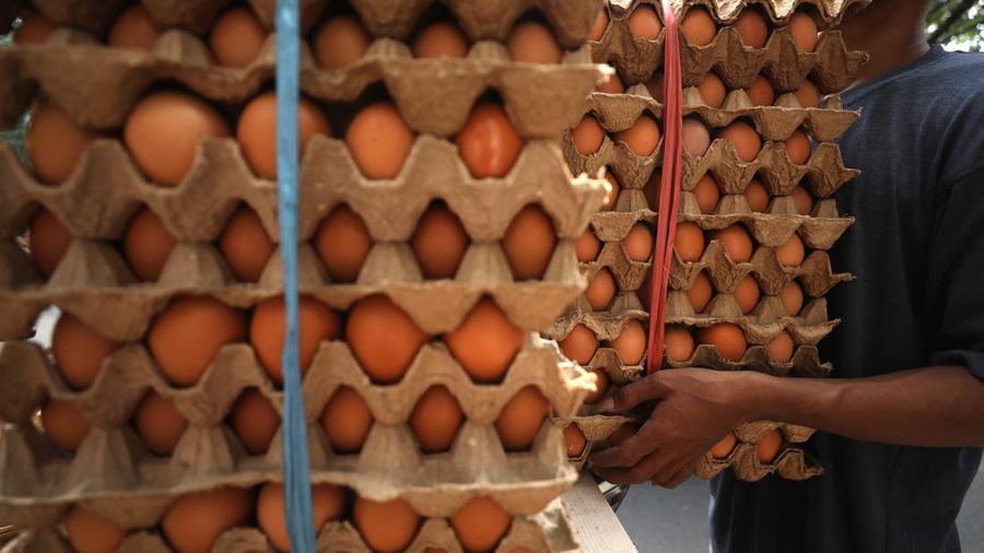 Harga Telur Naik (CNBC Indonesia/Tri Susilo)