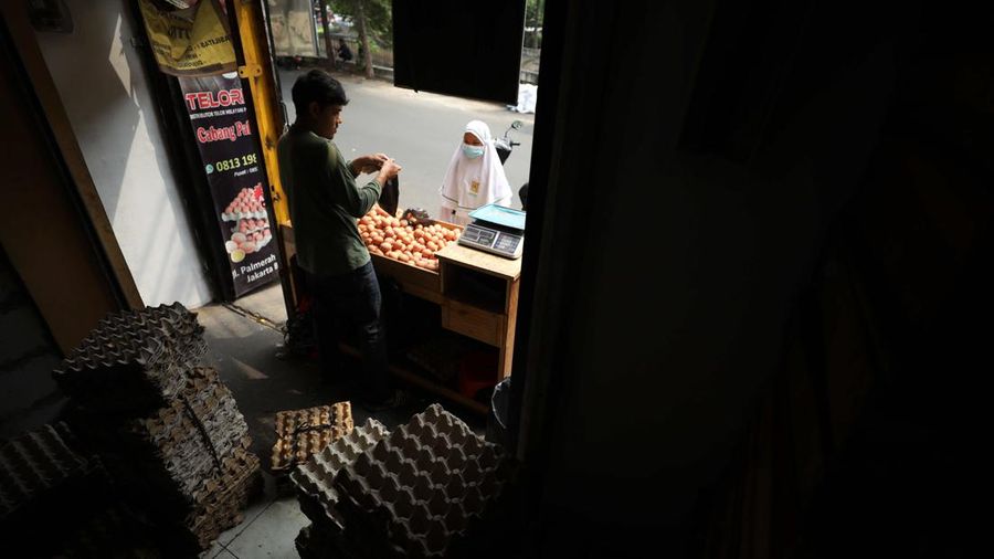 Harga Telur Naik (CNBC Indonesia/Tri Susilo)