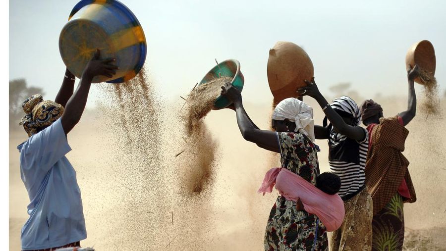 FILE- Malian women sift wheat in a field near Segou, central Mali, Jan. 22, 2013. It's been six months since Russia invaded Ukraine, and the consequences are posing a devastating threat to the global economy. Governments, businesses and families worldwide are feeling the effects just two years after the coronavirus pandemic ravaged global trade. (AP Photo/Jerome Delay, File)