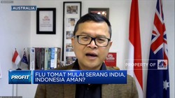 Ada Flu Tomat di India, Indonesia Harus Waspada?