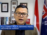 Ada Flu Tomat di India, Indonesia Harus Waspada?