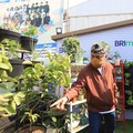 BRI Konsisten Perkuat ESG Lewat Program Menanam Pohon