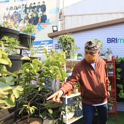 BRI Konsisten Perkuat ESG Lewat Program Menanam Pohon