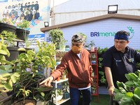 BRI Konsisten Perkuat ESG Lewat Program Menanam Pohon