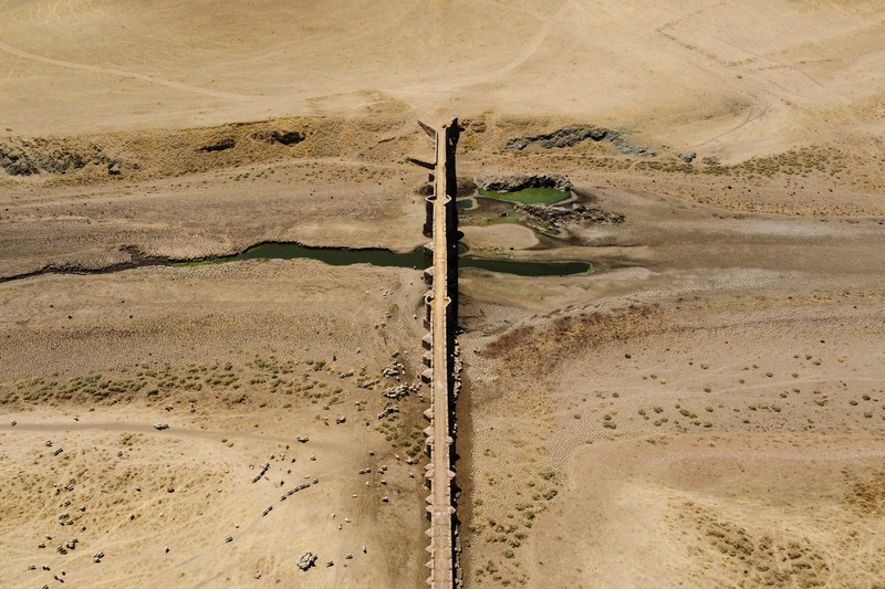 EUROPE-WEATHER/SPAIN-DROUGHT Sheep graze along the dried bed of the Guadiana river during a severe drought in the Cijara reservoir, in Villarta de los Montes, Spain, August 6, 2022. A prolonged dry spell and extreme heat that made last July the hottest month in Spain since at least 1961, have left Spanish reservoirs at just 40% of capacity on average in early August, well below the ten-year average of around 60%, official data shows.REUTERS/Susana Vera