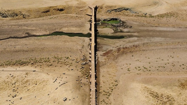 EUROPE-WEATHER/SPAIN-DROUGHT Sheep graze along the dried bed of the Guadiana river during a severe drought in the Cijara reservoir, in Villarta de los Montes, Spain, August 6, 2022. A prolonged dry spell and extreme heat that made last July the hottest month in Spain since at least 1961, have left Spanish reservoirs at just 40% of capacity on average in early August, well below the ten-year average of around 60%, official data shows.REUTERS/Susana Vera