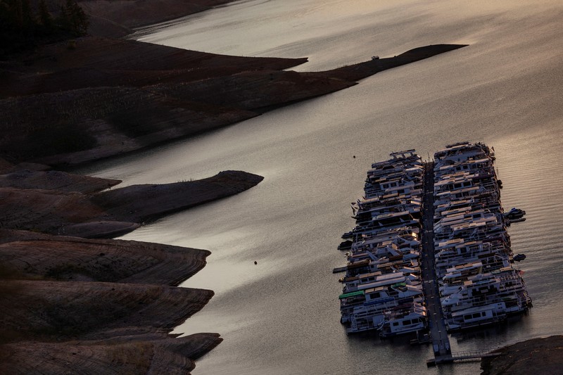 EUROPE-WEATHER/SPAIN-DROUGHT Sheep graze along the dried bed of the Guadiana river during a severe drought in the Cijara reservoir, in Villarta de los Montes, Spain, August 6, 2022. A prolonged dry spell and extreme heat that made last July the hottest month in Spain since at least 1961, have left Spanish reservoirs at just 40% of capacity on average in early August, well below the ten-year average of around 60%, official data shows.REUTERS/Susana Vera