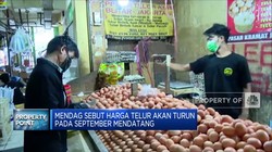 Mendag: Harga Telur Akan Turun September Mendatang