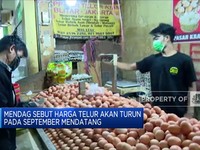 Mendag: Harga Telur Akan Turun September Mendatang