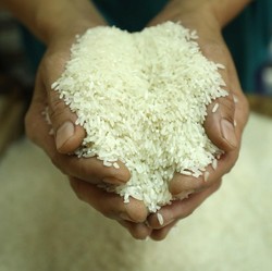 Harga Gabah Naik, Tanda-tanda Beras Melambung Lagi Nih!