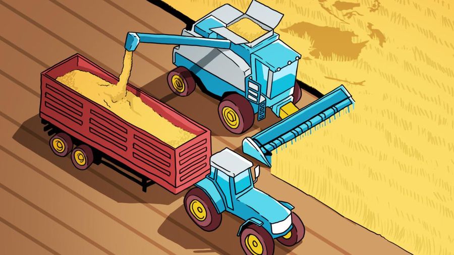 Disorot Jokowi Terus, ternyata RI masih impor gandum