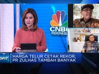 Harga Telur Rekor & Tembus Rp 35 Ribu/Kg, Apa Penyebabnya?