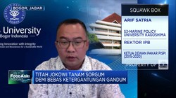 IPB Kembangkan Bibit Sorgum Unggulan, Bisa Produksi 7 Ton/Ha