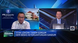 Rektor IPB: Ini Kunci Sorgum Jadi Substitusi Gandum Impor