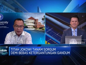 Rektor IPB: Ini Kunci Sorgum Jadi Substitusi Gandum Impor
