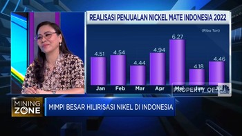 Wujudkan Mimpi Hilirisasi Nikel, RI Butuh Pembenahan Ini