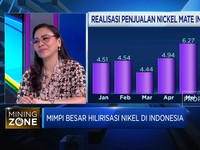 Wujudkan Mimpi Hilirisasi Nikel, RI Butuh Pembenahan Ini