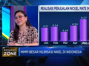 Wujudkan Mimpi Hilirisasi Nikel, RI Butuh Pembenahan Ini