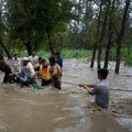 Darurat! Banjir Pakistan Telan Korban Hampir 1.000 Jiwa