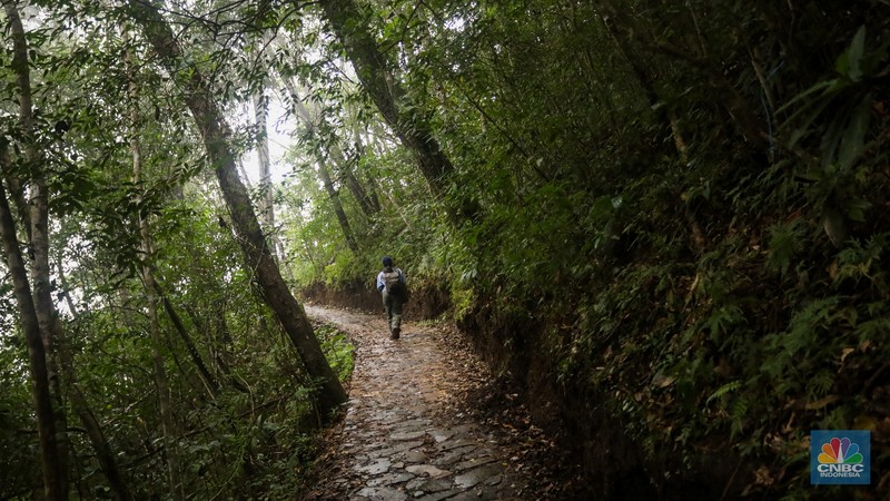 Desa Wisata Wae Rebo, NTT Wisatawan mengunjungi desa wisata Wae Rebo di Kecamatan Satarmese Barat, Kabupaten Manggarai, Nusa Tenggara Timur (NTT) , Jumat (28/7/2022). Wae Rebo merupakan salah satu desa wisata unggulan di NTT. (CNBC Indonesia/ Andrean Kristianto)