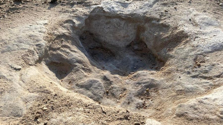 Lintasan jejak-jejak kaki dinosaurus berusia 113 juta tahun terlihat setelah cuaca mengeringkan dasar sungai di Texas, AS. (Getty Images via AFP/JOHN MOORE)