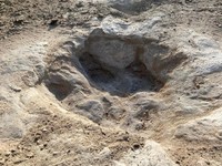 Keringnya Sungai Texas Mengungkap Jejak Keberadaan Dinosaurus