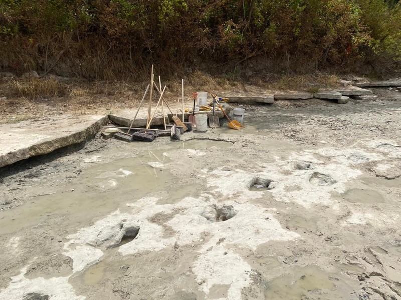 Lintasan jejak-jejak kaki dinosaurus berusia 113 juta tahun terlihat setelah cuaca mengeringkan dasar sungai di Texas, AS. (Getty Images via AFP/JOHN MOORE) Lintasan jejak-jejak kaki dinosaurus berusia 113 juta tahun terlihat setelah cuaca mengeringkan dasar sungai di Texas, AS. (Getty Images via AFP/JOHN MOORE)