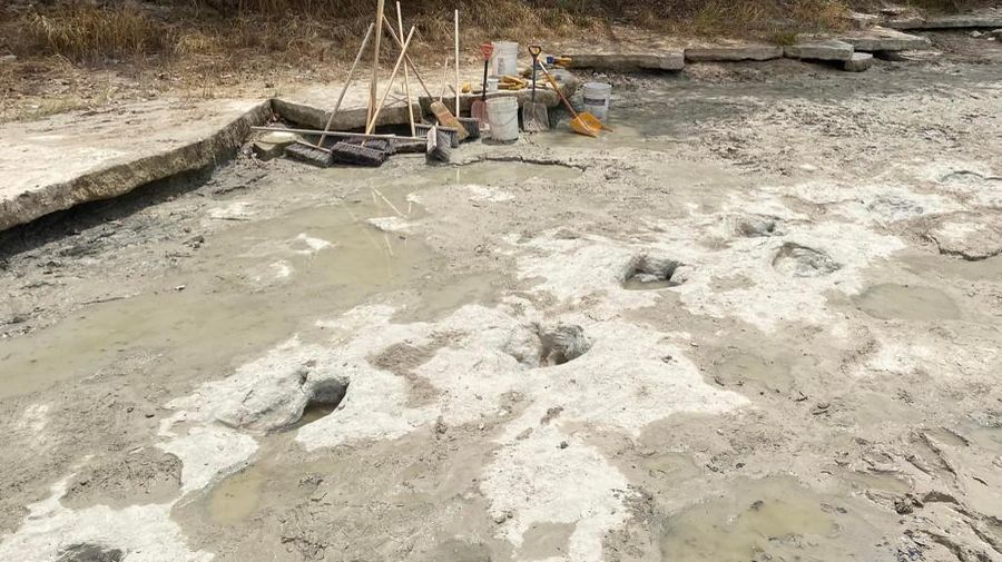 Lintasan jejak-jejak kaki dinosaurus berusia 113 juta tahun terlihat setelah cuaca mengeringkan dasar sungai di Texas, AS. (Getty Images via AFP/JOHN MOORE)