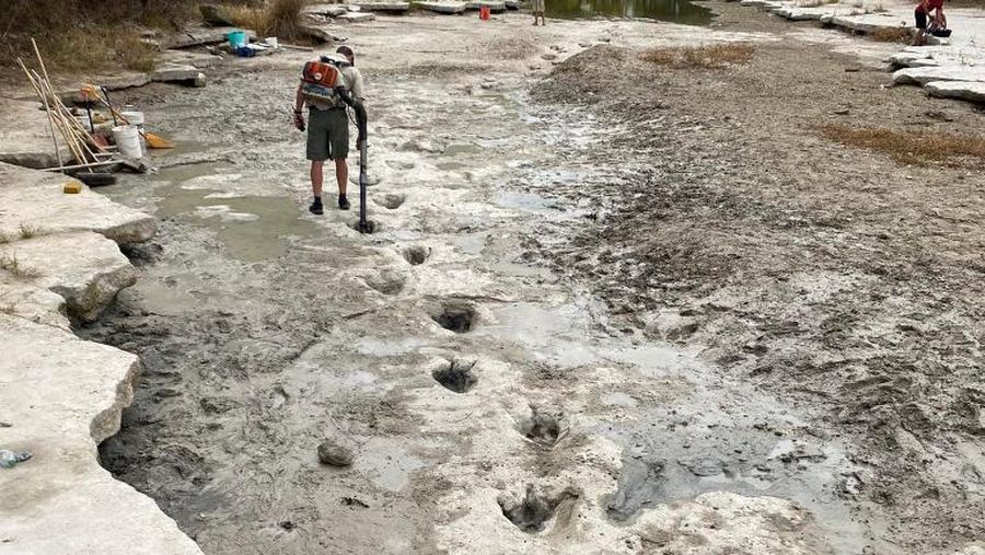 Lintasan jejak-jejak kaki dinosaurus berusia 113 juta tahun terlihat setelah cuaca mengeringkan dasar sungai di Texas, AS. (Getty Images via AFP/JOHN MOORE)