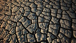 Pakar IPB Jelaskan Fenomena Tanah Kalimantan Retak Seperti di Afrika
