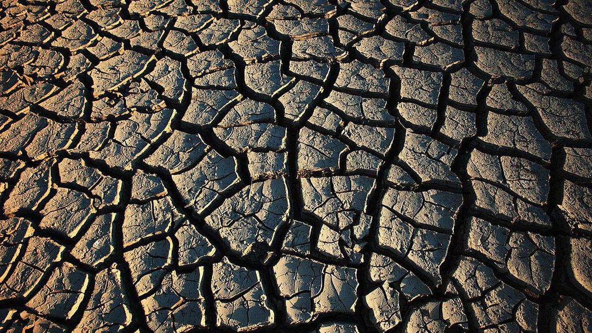 Pakar IPB Jelaskan Fenomena Tanah Kalimantan Retak Seperti di Afrika — NadiKabar.com