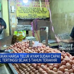 Masyarakat Resah, Jokowi Siap Tekan Harga Telur!