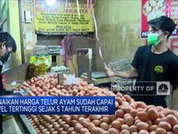 Masyarakat Resah, Jokowi Siap Tekan Harga Telur!