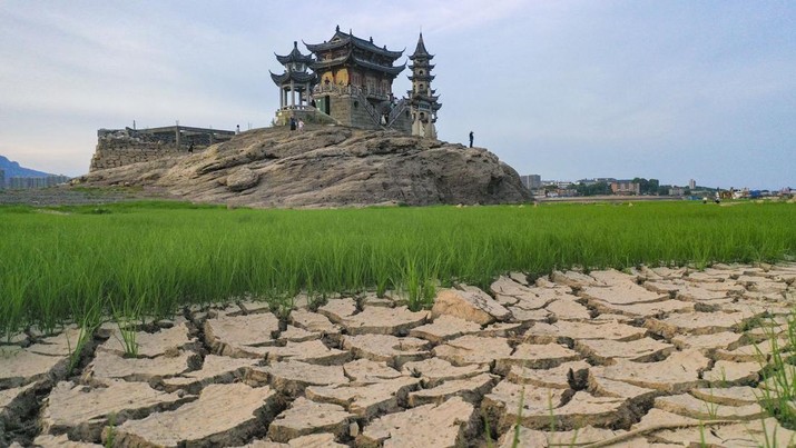 Sebuah kuil bersejarah di Pulau Luoxingdun, yang biasanya terendam di tengah Danau Poyang, kini terlihat dengan jelas. Pemandangan ini terjadi akibat kekeringan parah yang tengah berlangsung di China. (Visual China Group via Getty Images)