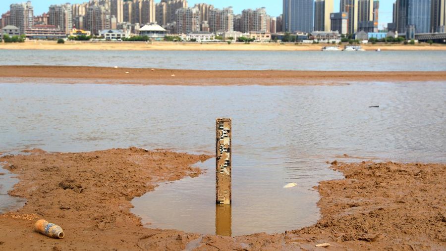 Pemandangan udara dari orang-orang yang berjalan di sepanjang lengan Sungai Parana yang hampir kering, yang ketinggian airnya mencapai titik terendah dalam sejarah, Brasil. (AFP via Getty Images/JUAN MABROMATA)