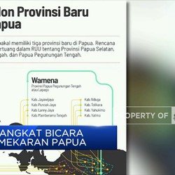 Jokowi Angkat Bicara Soal Pemekaran Papua