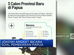 Jokowi Angkat Bicara Soal Pemekaran Papua