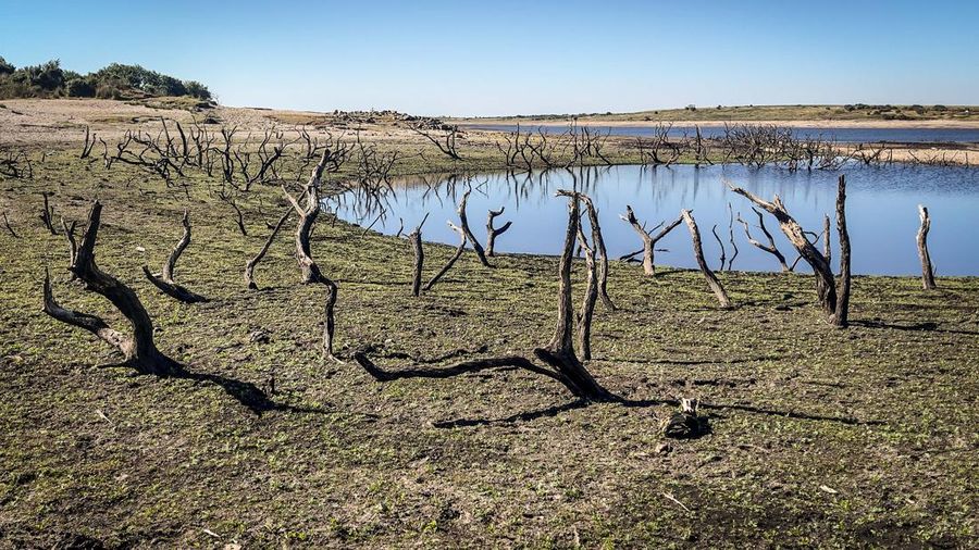 Pemandangan udara dari orang-orang yang berjalan di sepanjang lengan Sungai Parana yang hampir kering, yang ketinggian airnya mencapai titik terendah dalam sejarah, Brasil. (AFP via Getty Images/JUAN MABROMATA)