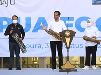 Jokowi Ungkap Sosok yang Minta Pemekaraan Papua, Siapa?