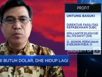 BI Butuh Dolar, Aturan DHE Berlaku Lagi?  Ini Penjelasan DJBC