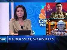 Soal DHE, Eksportir: Kami Pejuang Devisa Tapi Kok Dipersulit