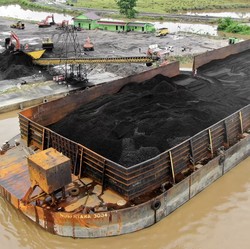 Harga Batu bara Akhirnya Bangkit, Tapi Jangan Senang Dulu.....
