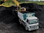 Bukan China, Ini yang  Membawa Harga Batu Bara Terbang 4%