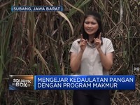 Bukti Kesuksesan Program Makmur, Produktivitas Tebu Naik 73%