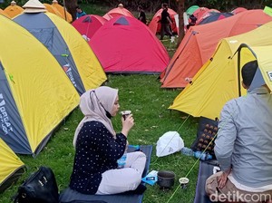 90 Persen Homestay di Dieng Full Booked Saat DCF