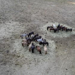 Eropa di Ambang Malapetaka, 2 'Kiamat' Ini di Depan Mata